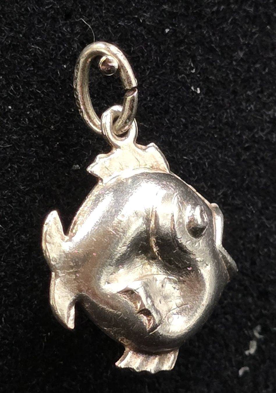 Pendentifs: Schmuckanhänger Fisch – D'occasion à Rorschacherberg par snOOpydOg11 4