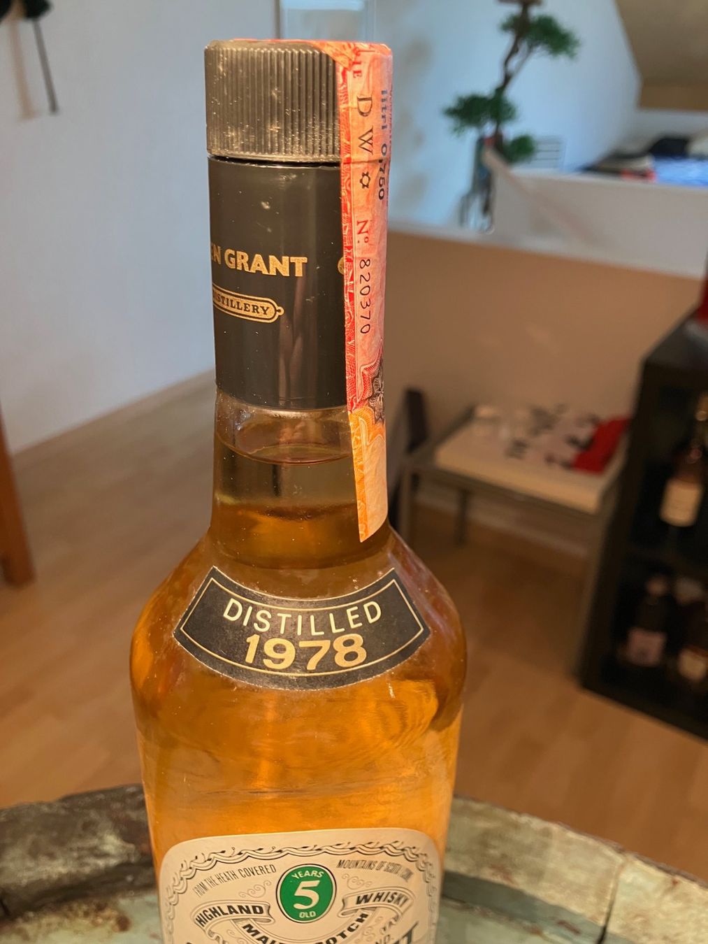Glen Grant Bevande alcoliche: Glen Grant 5 Years 1978 75cl – Nuovo (secondo la descrizione) da Aarwangen venduto da concorde58 3