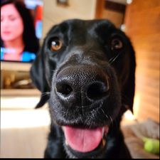 Profile image of mini-moi