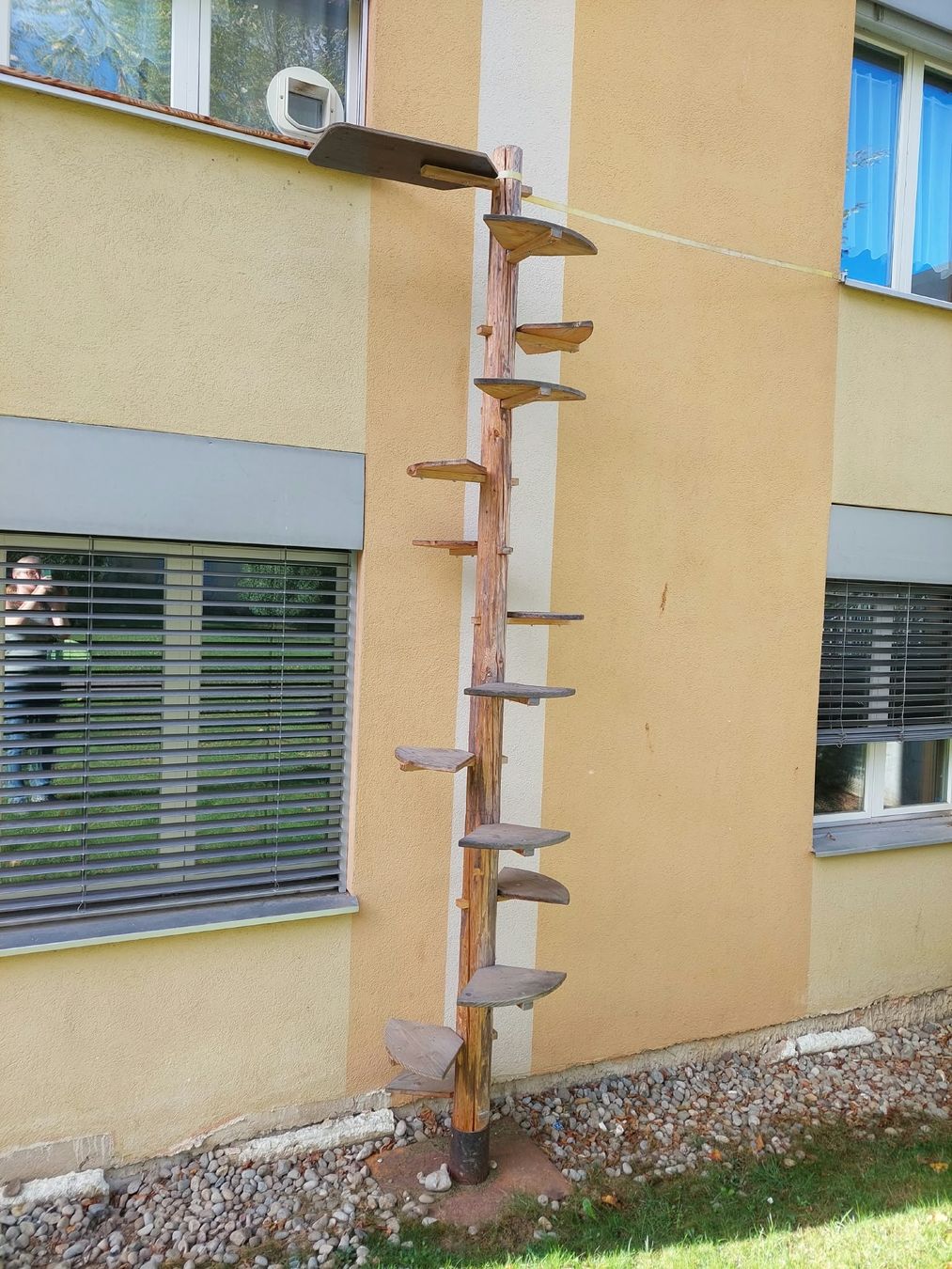 Leitern: Katzenleiter – Gebraucht aus Fehraltorf von sch_d7ch 1