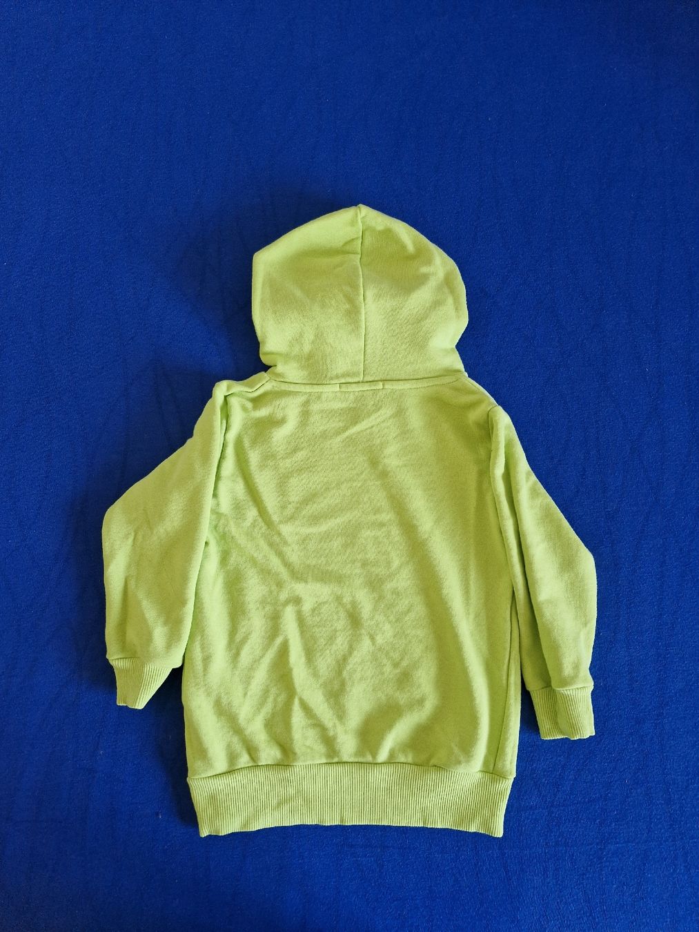 Pullover & Sweatshirts: Pullover hell grün Gr.92/98 – Gebraucht aus Disentis/Mustér von epa_862v 1