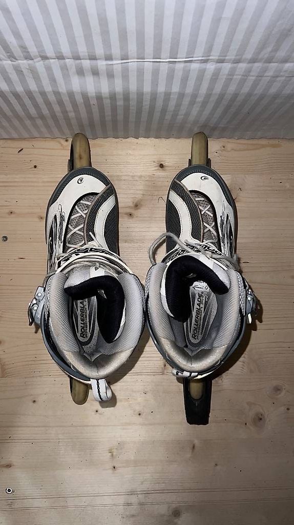 Pattini in linea & Pattini a rotelle: Inlineskates / Rollerblades Women Gr. 40.5 – Usato da Bern venduto da snoopboom 1