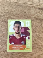 Panini Wm 2026 Qat 10