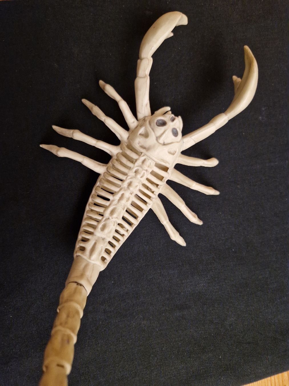 Statuette: Skorpion Skelett – Usato da Fislisbach venduto da mka_km8f 1