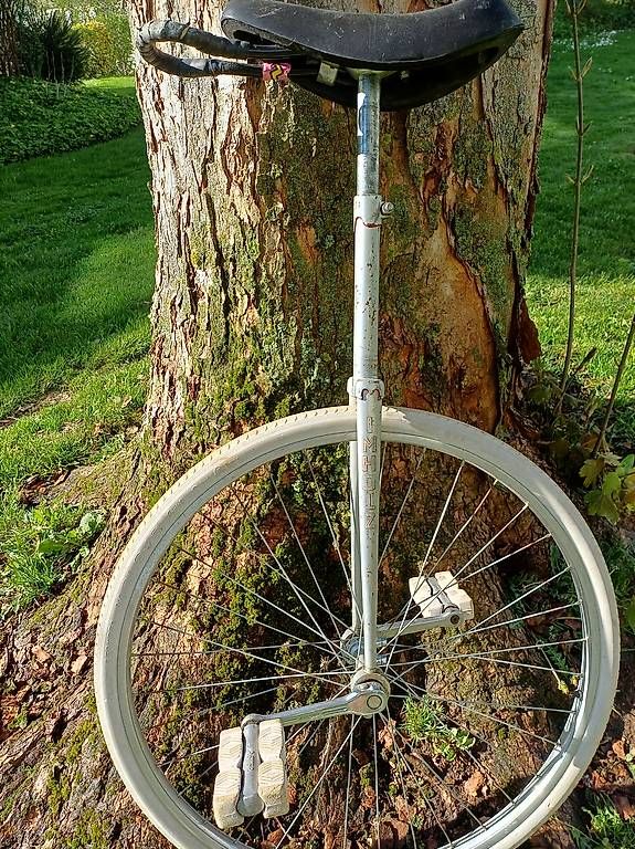 Biciclette: Imholz Einrad – Usato da Köniz venduto da Hobbes1