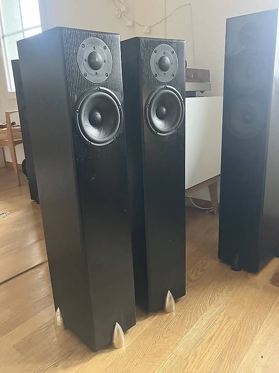 Casse acustiche: Enceintes audiophiles "Totem Acoustics" Hawk – Usato da Wattenwil venduto da olivierjeannin 2