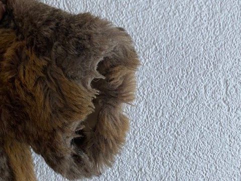 Jacken: Kunstpelzjacke – Gebraucht aus Oberrohrdorf von chilibiggi 1