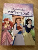 Disney Buch Zauberhafter Vorlesespass
