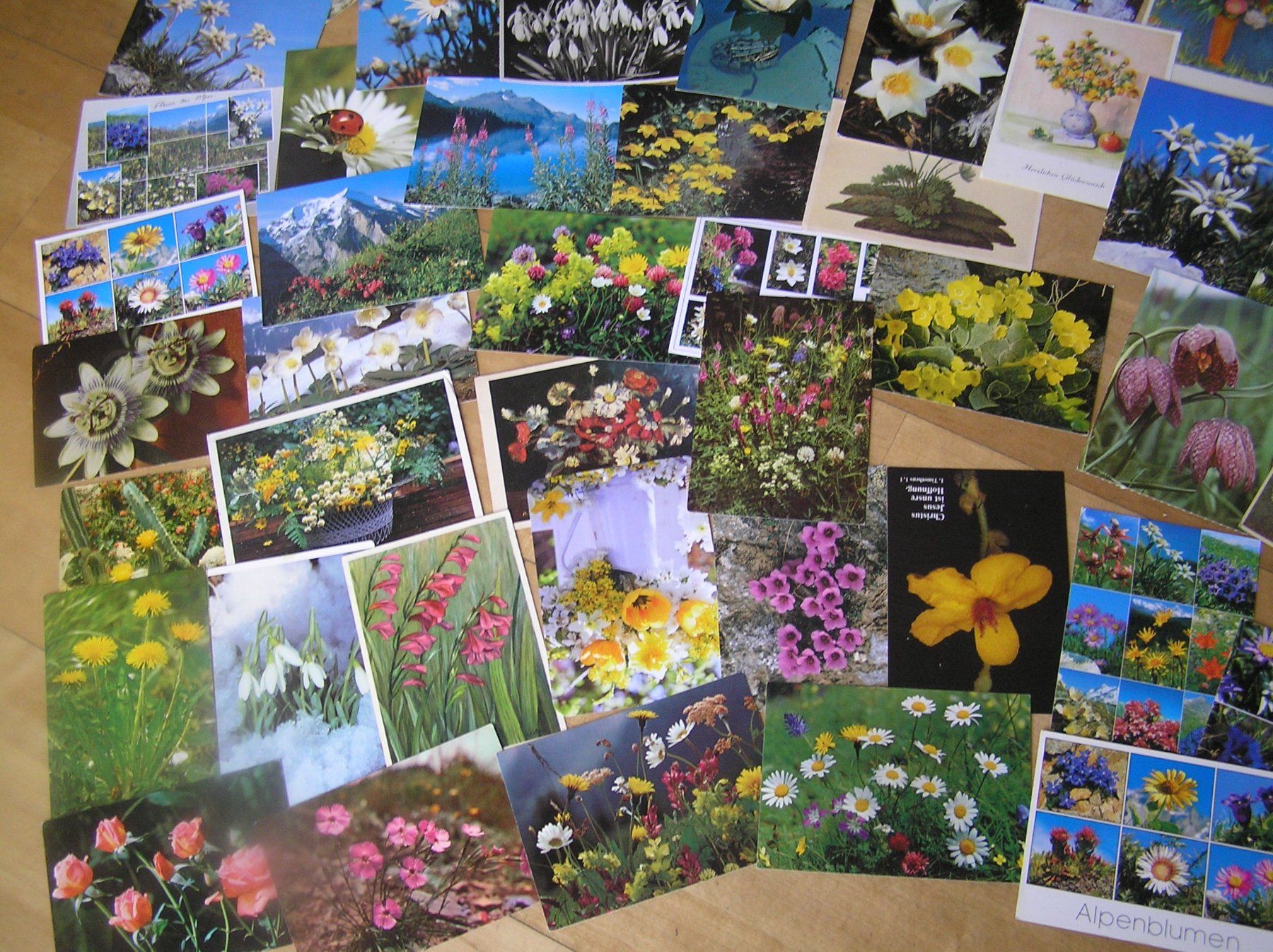 Cartoline postali: 200 Gruss - Blumenkarten – Usato da Lumbrein venduto da made02 6