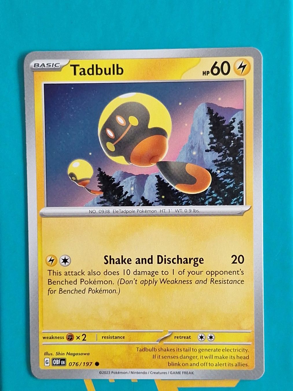 Pokémon Carte collezionabili: Tadbulb - Pokemon Obsidian Flames – Usato da Altstätten SG venduto da GGsGameshop