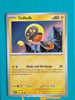 Tadbulb - Pokemon Obsidian Flames