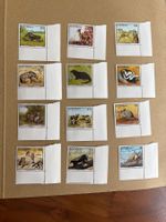 Briefmarken Botswana, 12 Stk, Tiere, gebraucht, Top!