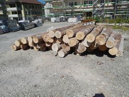 Baumstamm Rundholz Stützen Bohlen Spriess Brennholz