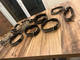 11 leder hundehalsbänder