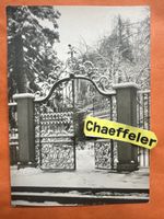 Basler Ansichtskarte, Botanischer Garten im Winter