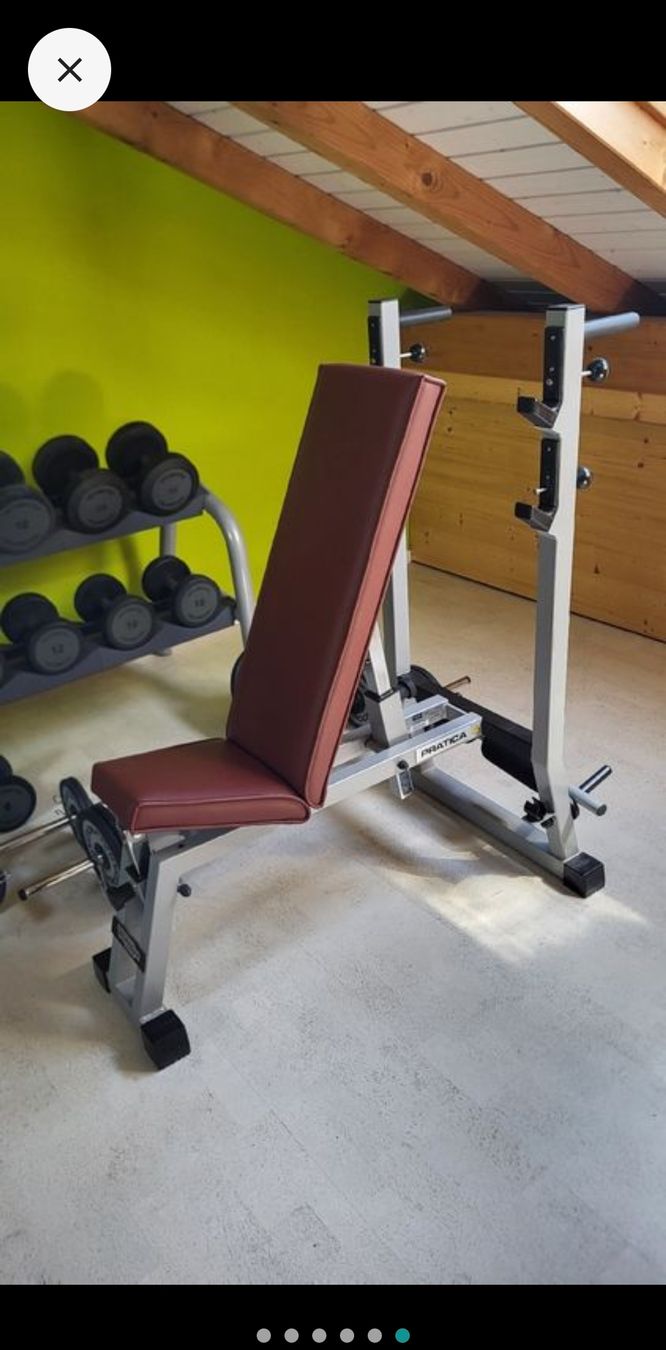Technogym Hometrainer: Hantelbank Technogym mit vielen Gewichten – Usato da Aarau venduto da Aboudx 4