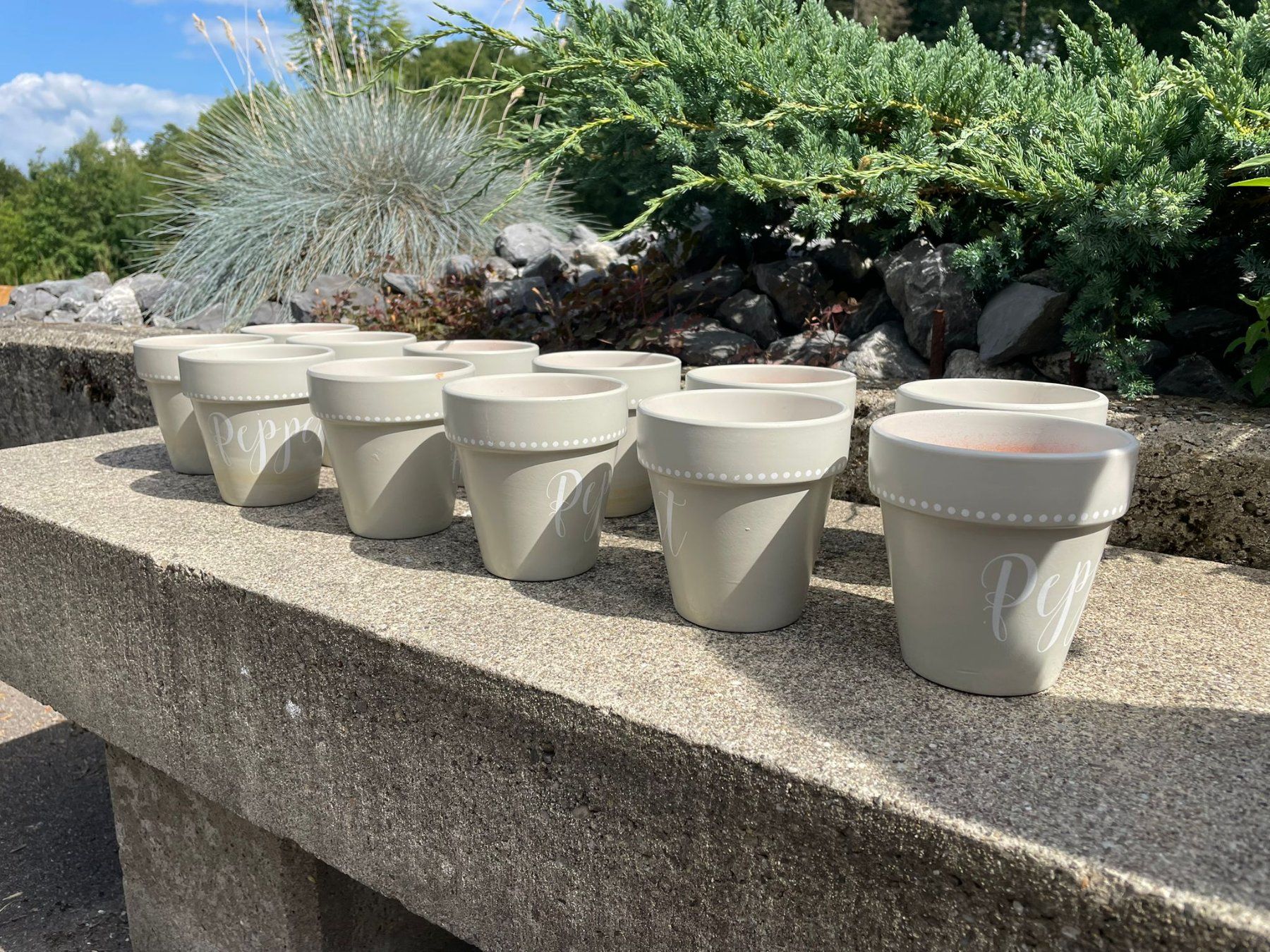 Candele: 12er Set Kräutertöpfe "Pepper" mit Kerze, Balthasar – Nuovo e nell'imballaggio originale da Wängi venduto da LiqKojote