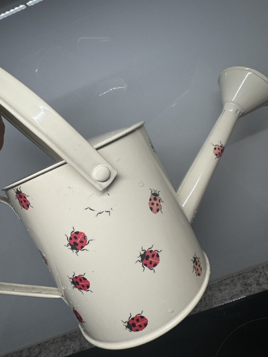Box contenitori: Garten Set 🐞 – Nuovo (secondo la descrizione) da Sins venduto da sum_lv6d 4