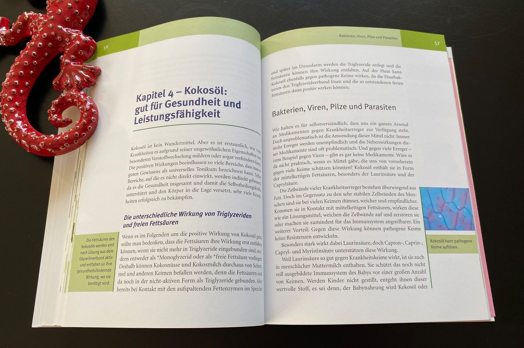 Libri: DAS KOKOS BUCH – Usato da Nussbaumen AG venduto da schuba2000 3