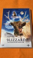 Blizzard, das magische Rentier