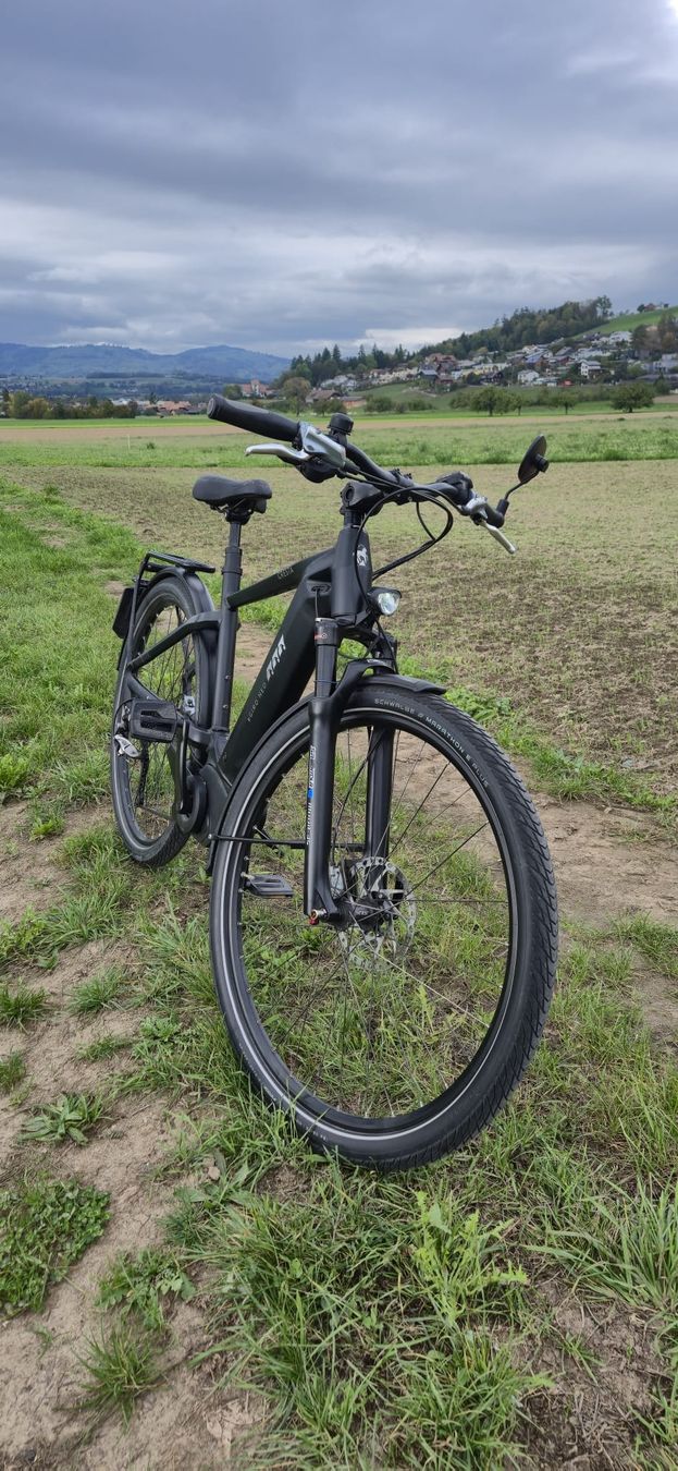 Cresta Biciclette: Cresta eGiro Neo 45 km/h – Usato da Steffisburg venduto da RnPerformanceShop 9