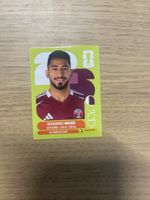 Panini FIFA WC QAT 14