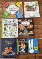 Lot 7 livres (émotions, Noël, Pokémon, dinosaures, etc.)