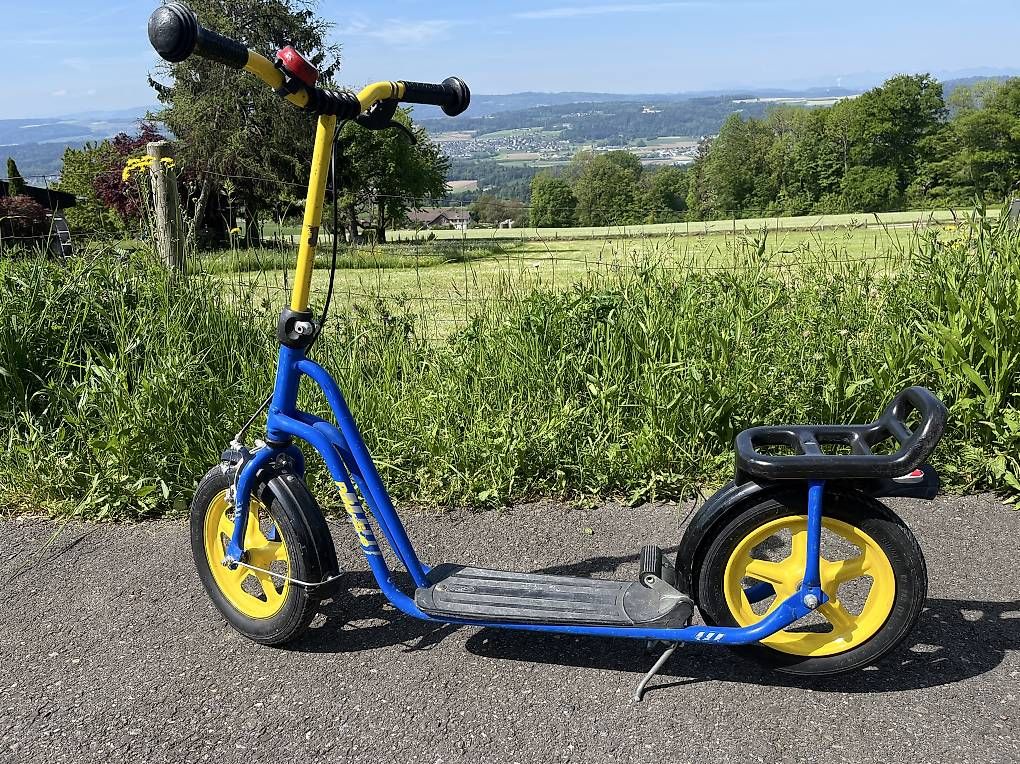 Kickboard: Trottinett – Usato da Bellikon venduto da Ndorfer 3