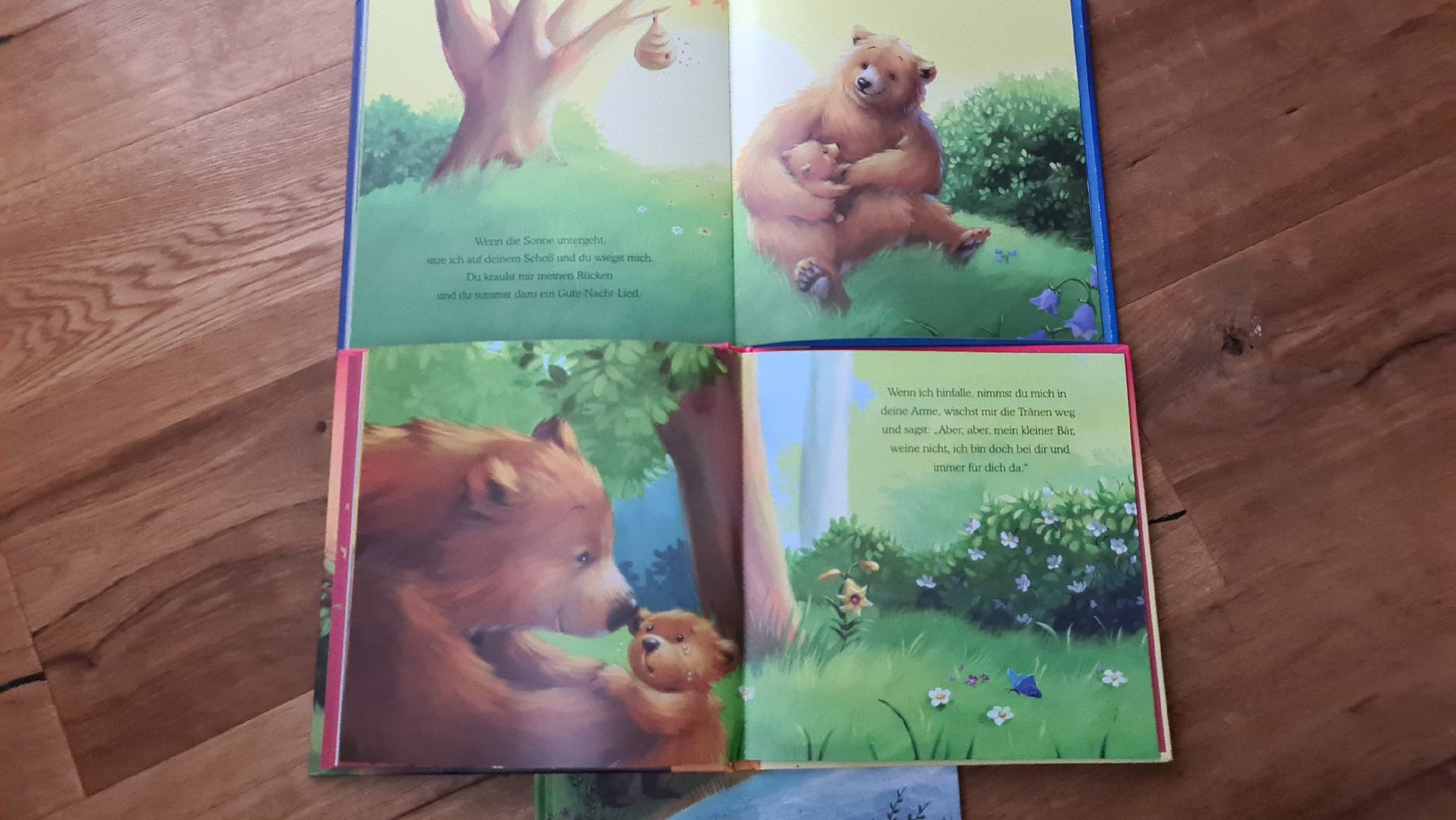 Libri: kinder bücher set – Usato da Wittenbach venduto da Tigerlili 6