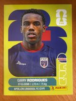 Panini CPV15