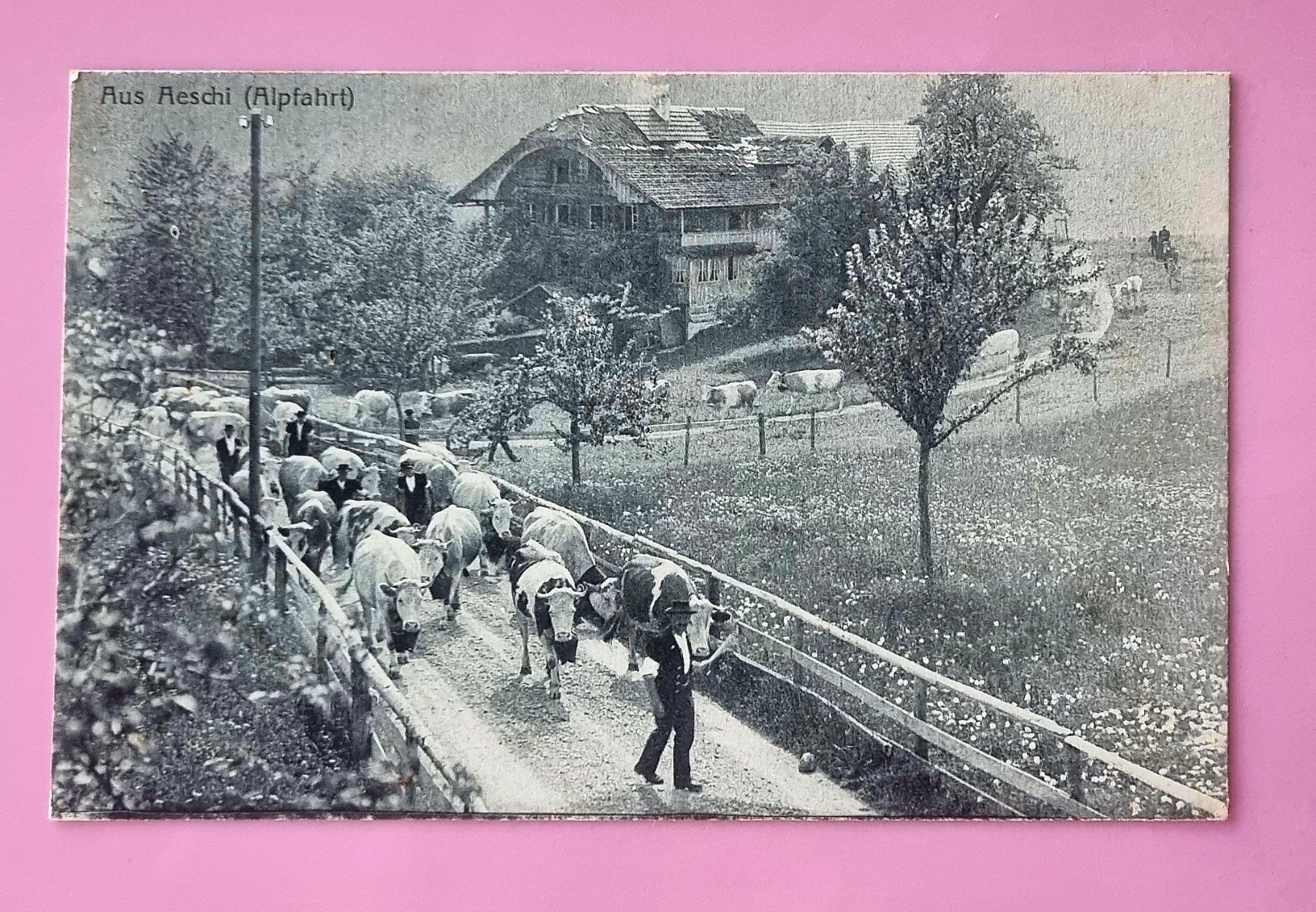 Ansichtskarten: Aeschi - Alpfahrt - 1920 – Gebraucht aus Rothrist von RROENK