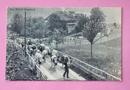 Aeschi - Alpfahrt - 1920