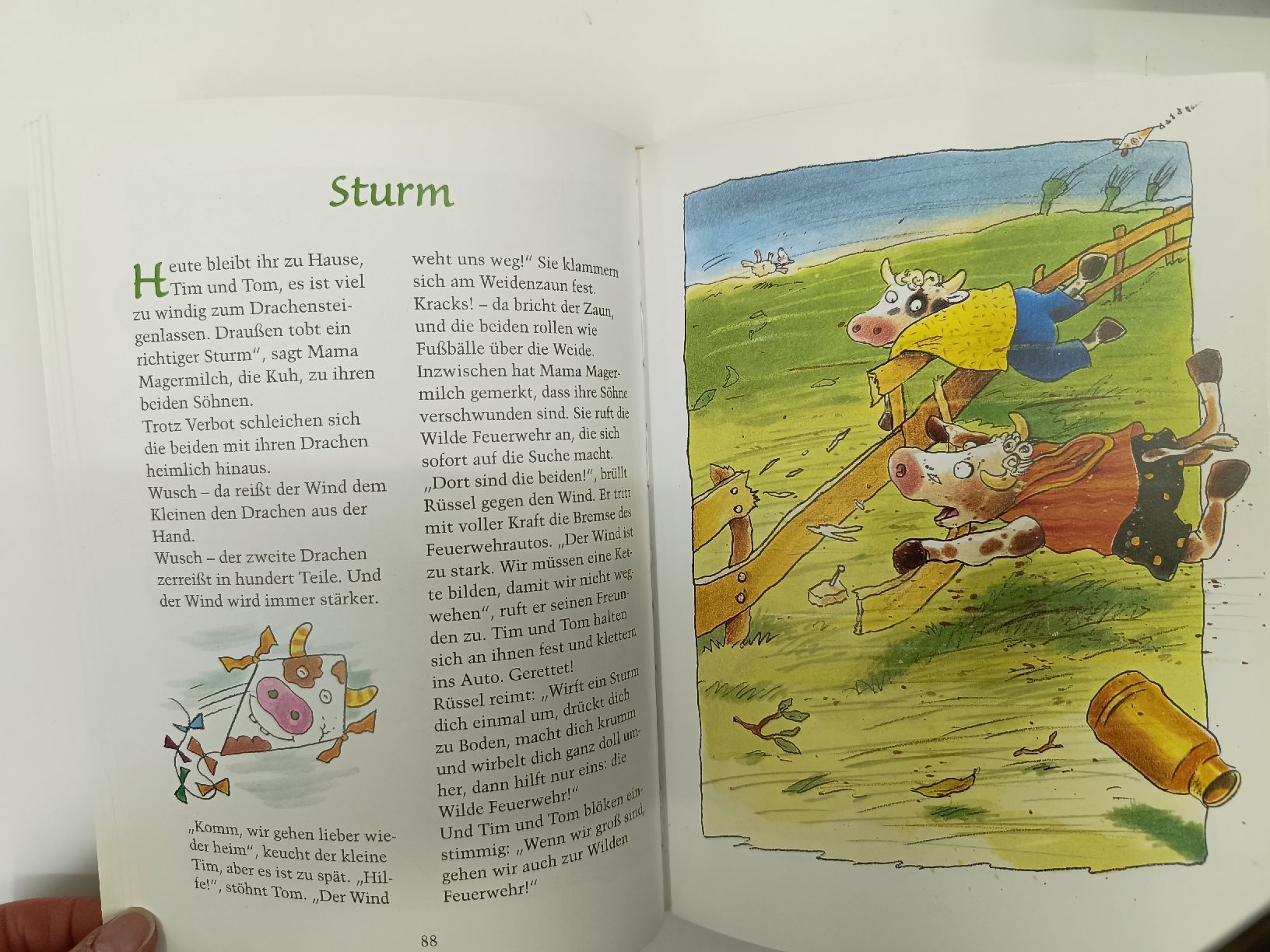Libri: Die Mondleiter – Usato da Ehrendingen venduto da Cheronimo2 2