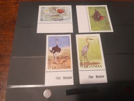 Lot de 4 Timbres d'Ouganda avec Motifs d'Oiseaux Rares!