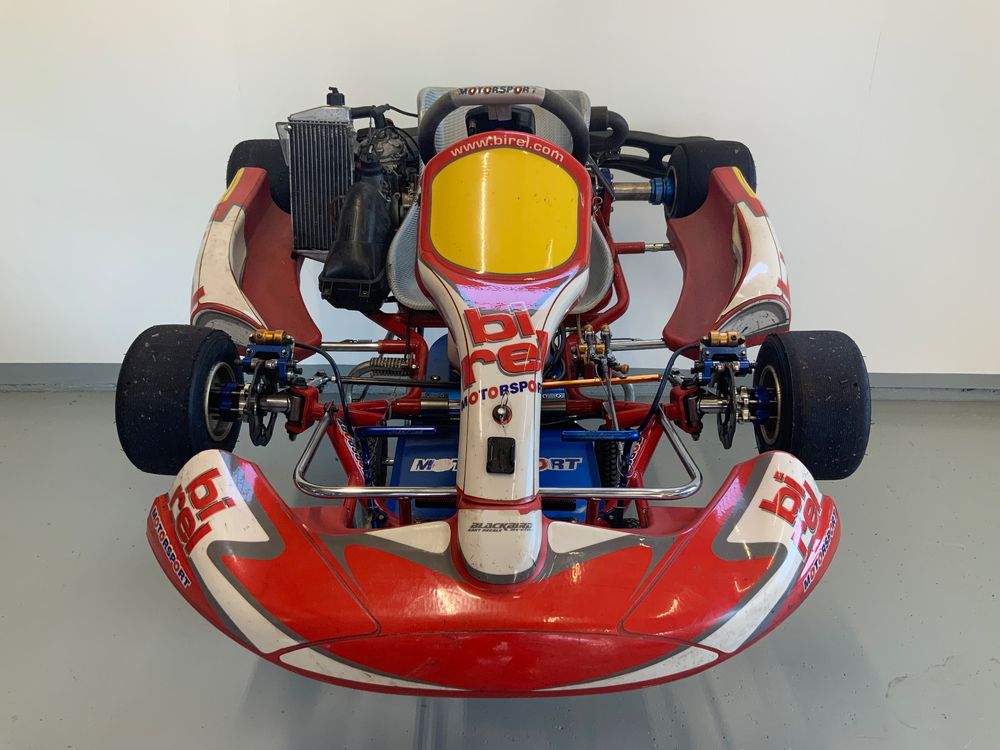 Birel Rotax Kart 125 ccm 2