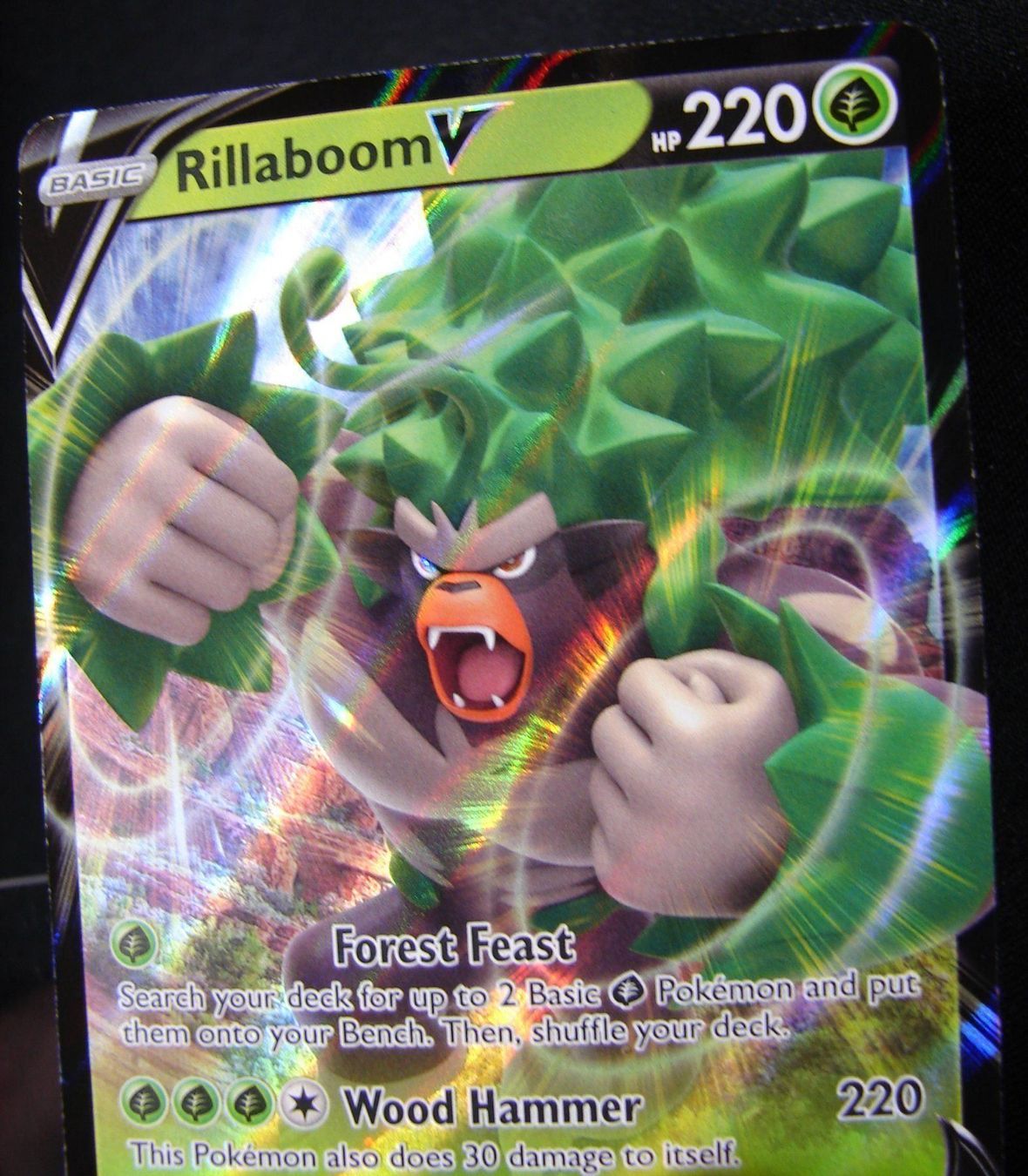 Pokémon Carte collezionabili: Rillaboom V - Promo - Mint           /34 – Nuovo (secondo la descrizione) da Rümlang venduto da coh_87ww 3