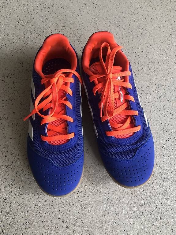 Adidas Scarpe da uomo: Adidas Predator Hallenschuhe 36 2/3 – Nuovo (secondo la descrizione) da Zürich venduto da mir_9gc2