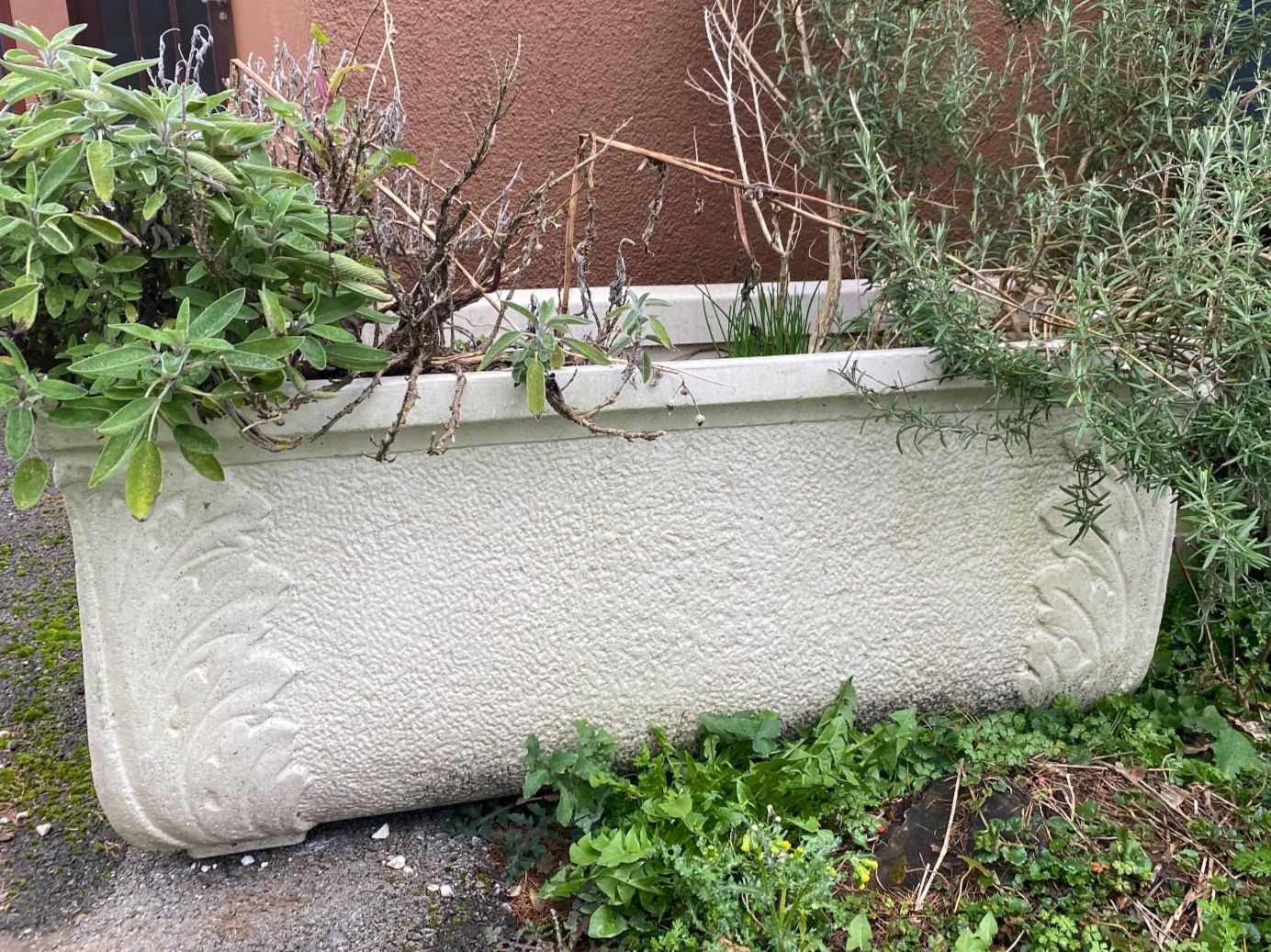 Blumentöpfe: Gartentopf – Gebraucht aus Geroldswil von  1