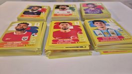 250× Paninis 2026