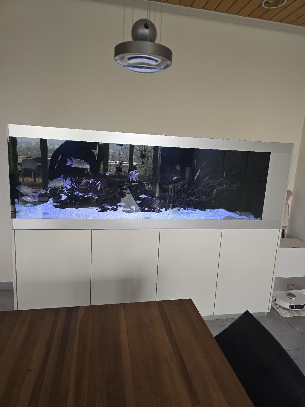Acquari: Aquarium 1000 Liter – Usato da Suhr venduto da ronny019 1