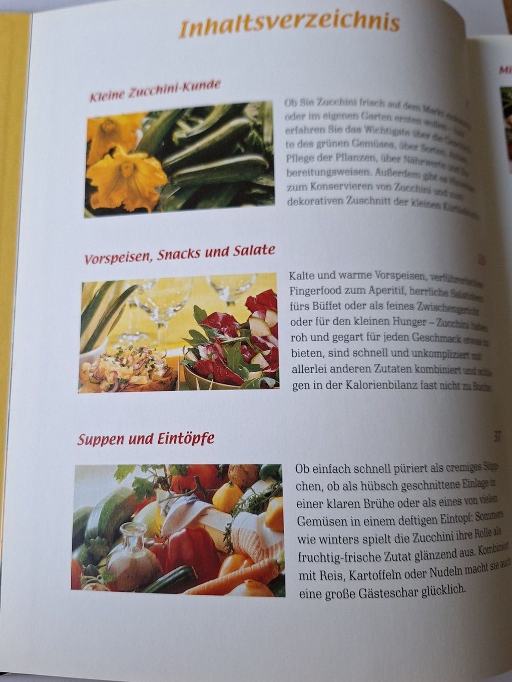 Libri: Zucchini Rezepte – Usato da Zürich venduto da t24_de 4