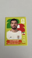 Carte panini 2026 - IRN 11