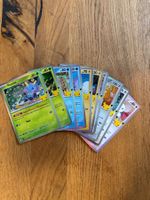 Pokémon 30th Celebration Bulk EN