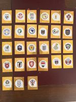 Panini Wappen 1 Set WM 2026