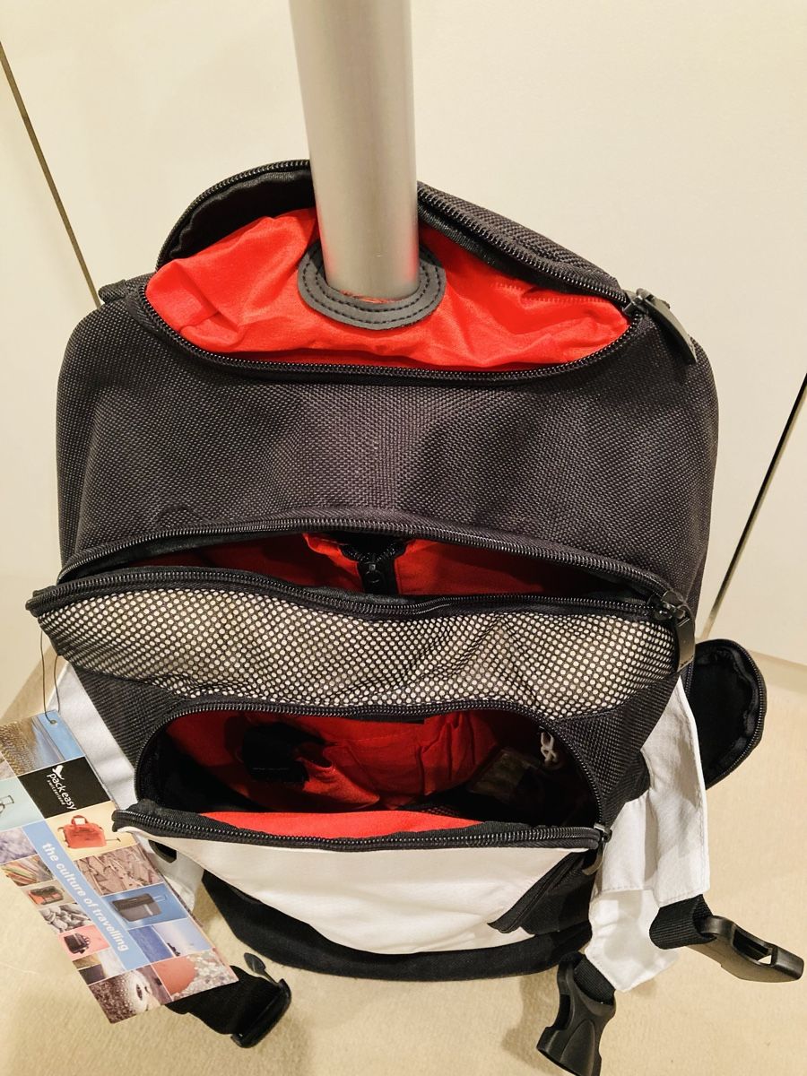 Valigie & Borse: Rollrucksack – Nuovo (secondo la descrizione) da Brüttisellen venduto da sinacat1 1
