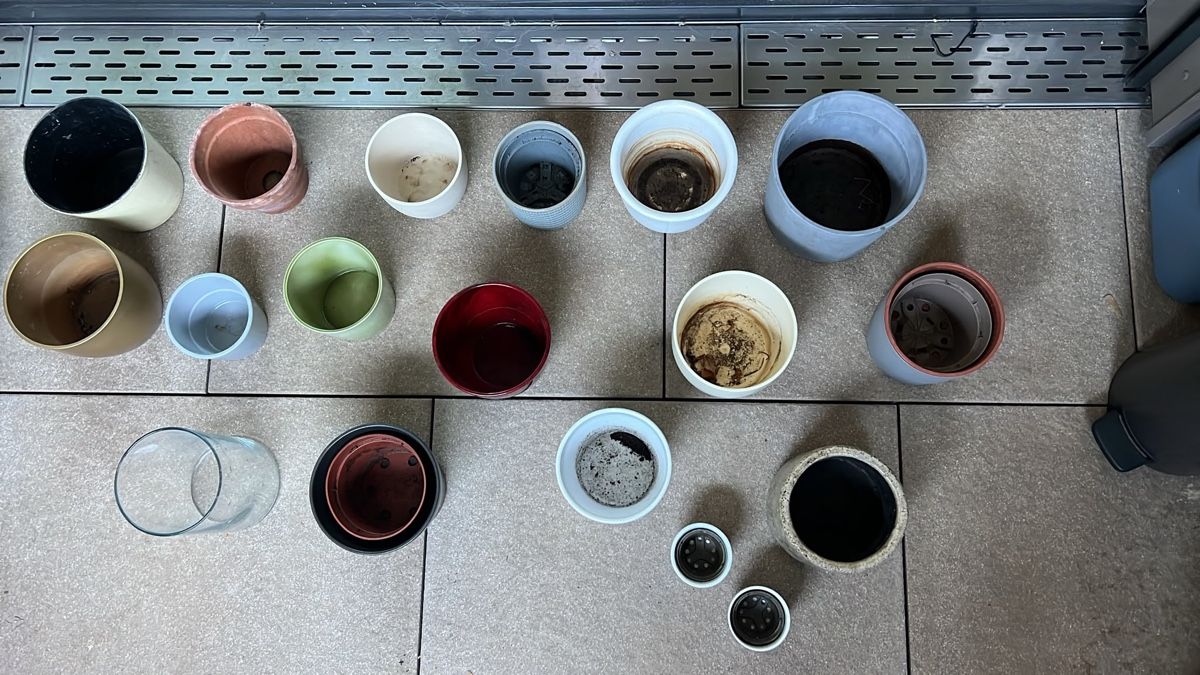 Pots de fleurs: kleine Blumentöpfe – D'occasion à Brüttisellen par Elmasniari 1