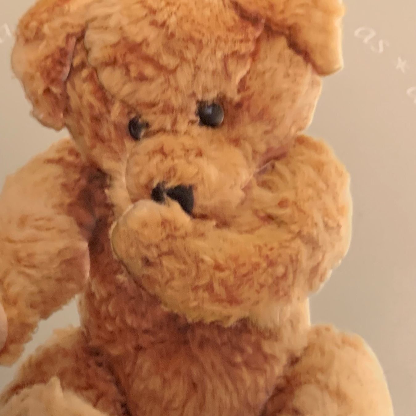 Contenitori & Simili: Schöne Blechdose mit Teddybär /Keksdose/ Behälter – Usato da Hinteregg venduto da GARANTA 1