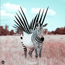 Profile image of dev_rv6d