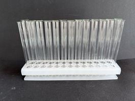 Reagenzglasgestell inclusive 26 Reagenzgläser 16 x 160 mm