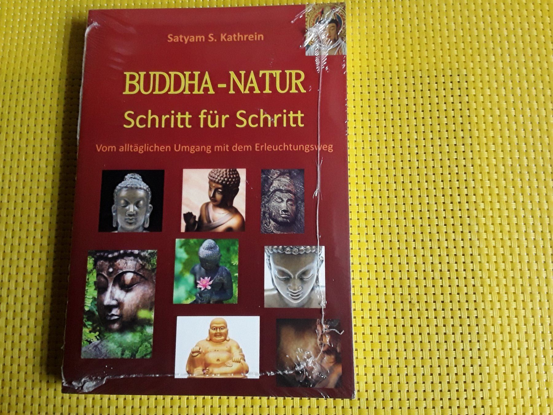 Libri: BUDDHA - NATUR – Nuovo e nell'imballaggio originale da Rebstein venduto da Buchsi03